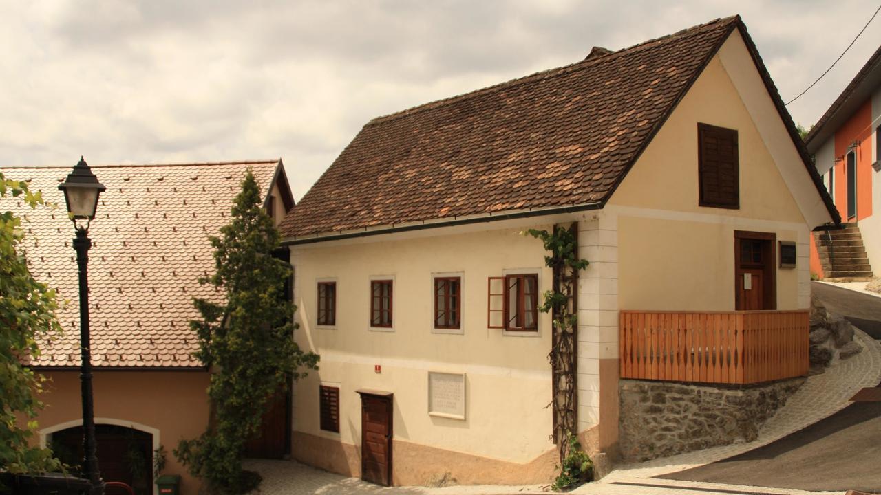 Guesthouse Bajc Vrhnika Exterior photo
